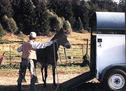 brad cameron clinic, august 98